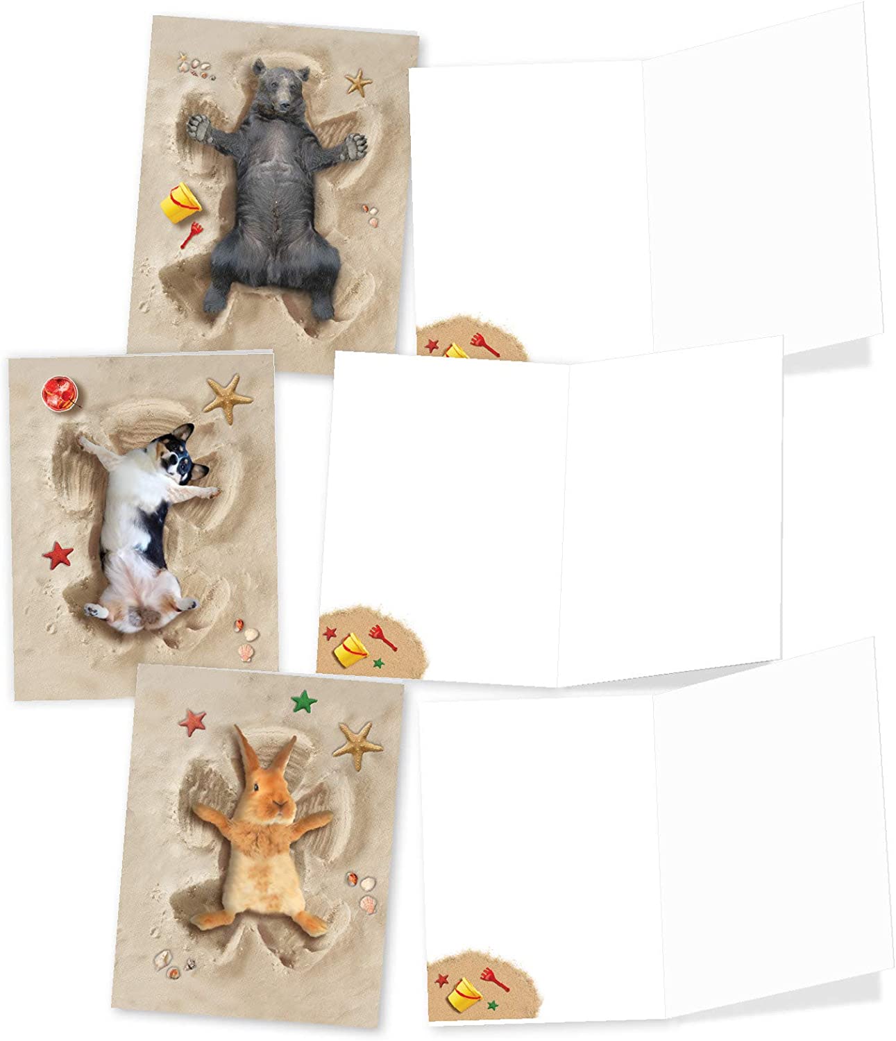 The Best Card Company - 10 Adorable Note Cards Blank (4 x 5.12 Inch) - Wildlife and Animal Cards, Assorted Boxed Kids Set - Sand Angels AM6844OCB-B1x10 - Image 4